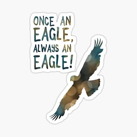 Araba için Kartal Oto Sticker Yapıştırması Etiket  17CM z3