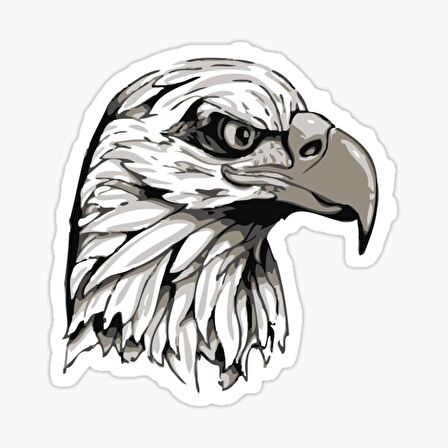 Araba için Kartal Oto Sticker Yapıştırması Etiket  17CM zz6