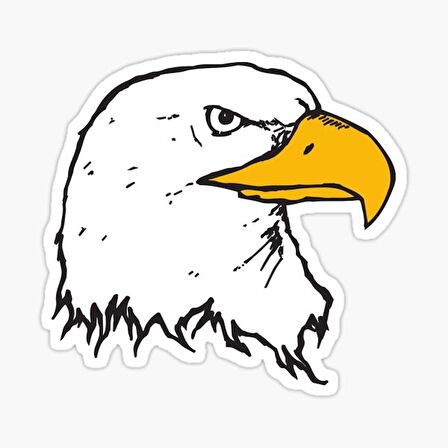Araba için Kartal Sticker Yapıştırması Etiket Oto 17CM z2
