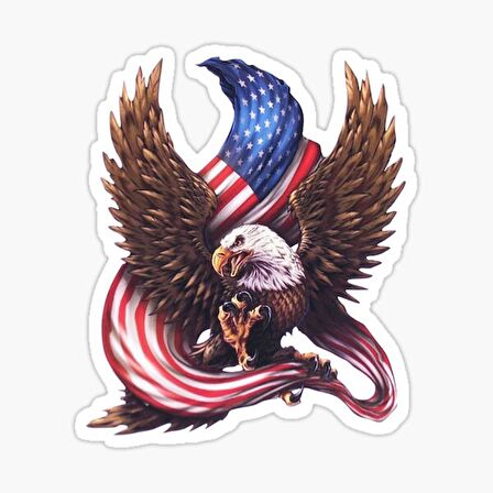 Araba Kartal Sticker Yapıştırması Etiket Amerikan Bayrağı 17CM a2