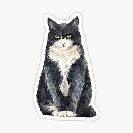 Araba Leptop için Kedi Oto Sticker Yapıştırması Etiket  17CM z6