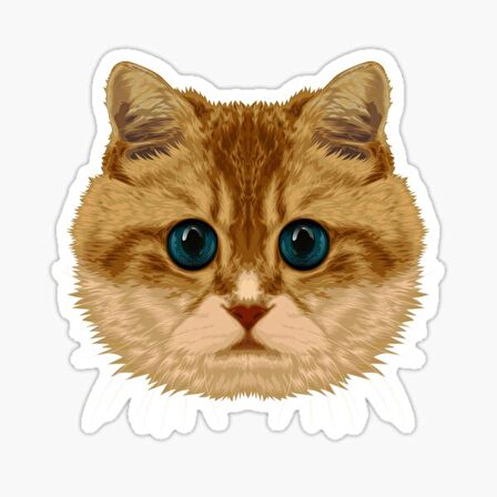 Araba Leptop için Kedi tekir Sticker Yapıştırması Etiket  17CM a3