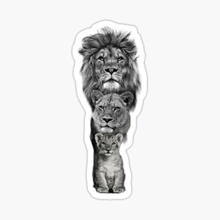 Aslan Ailesi Araba Oto Sticker Yapıştırma Etiket 17CM F2