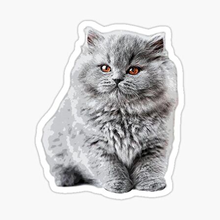 British Shorthair Kedi Araba Oto Sticker Yapıştırma Etiket 17CM z8