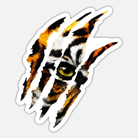 Kaplan Pençe Araba Oto Sticker Yapıştırma Etiket 17CM h1