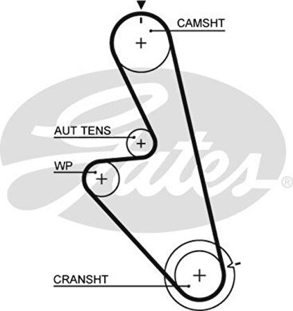 Daewoo Triger Kayısı (125x200) Daewoo Aranos Espero 1.8 2.0 8v (91 99) Ct959 - Gates 5449
