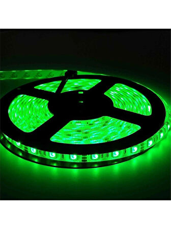 Cata CT-4483 Şerit LED 10 Çipli Yeşil Işık İç Mekan 12V ( 10 Metre )