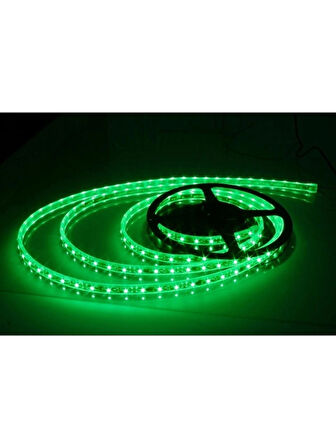 Cata CT-4483 Şerit LED 10 Çipli Yeşil Işık İç Mekan 12V ( 10 Metre )