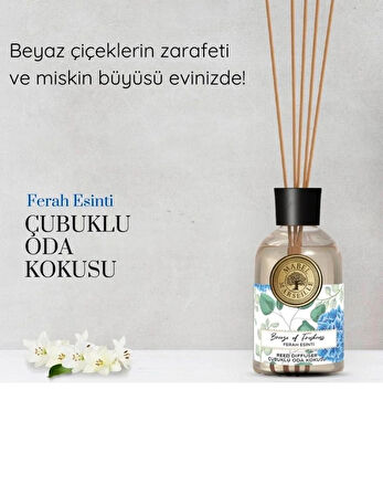 Mabel Marseille Ferah Esinti Çubuklu Oda Kokusu 100 ML * 3 Adet