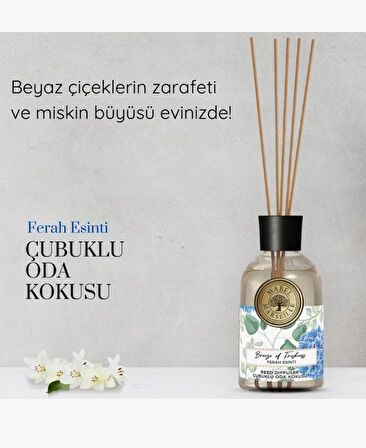 Mabel Marseille Çubuklu Oda Kokusu Ferah Esinti 100 ml + 500ml Oda spreyi Ferah Esinti