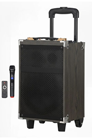 Hepu Hp-903 Partybox Bluetooth Hoparlör 8 Woofer 40W Güç 1 Kablosuz Mikrofon Kumanda