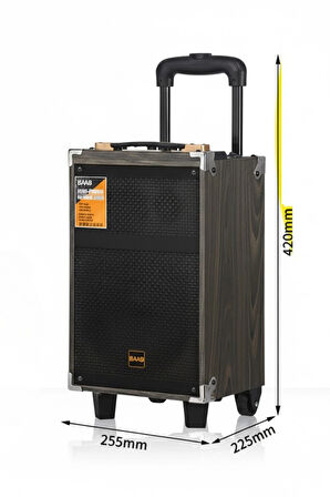 Hepu Hp-903 Partybox Bluetooth Hoparlör 8 Woofer 40W Güç 1 Kablosuz Mikrofon Kumanda