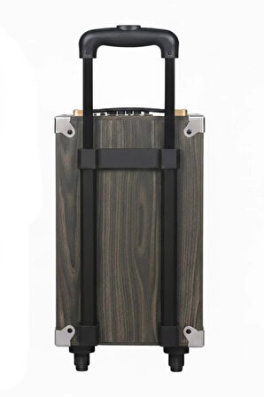 Hepu Hp-903 Partybox Bluetooth Hoparlör 8 Woofer 40W Güç 1 Kablosuz Mikrofon Kumanda