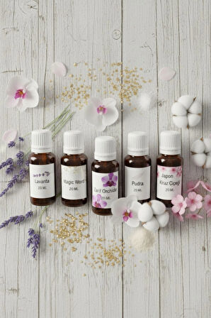 Uçucu Yağ Hava Nemlendirici Kokusu 20 ML 5 Li Set Lavanta / Japon Kirazı / Pudra / Magic Word /Zarif Orchıde