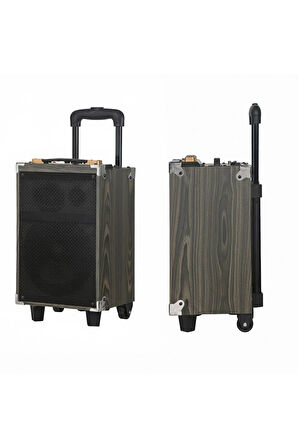 Hepu Hp-904 Partybox Bluetooth Hoparlör 12 Woofer 40W Güç 1 Kablosuz Mikrofon Kumanda