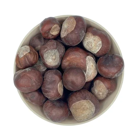 1001Naturel At Kestanesi 1 Kg Atkestanesi Meyvesi