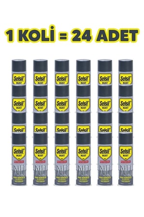 Selsil Pas Sökücü Ve Yağlayıcı 400 mL - 24 Adet