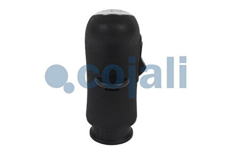 Renault Truck Vites Topuzu - Renault / Premium - Kerax - Midlum (takvıyeli) - Cojalı 2880157