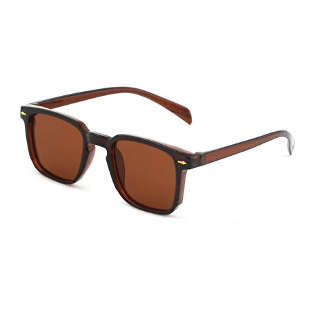 Carmelo Eyewear C01GE013 Kahverengi Erkek Güneş Gözlüğü