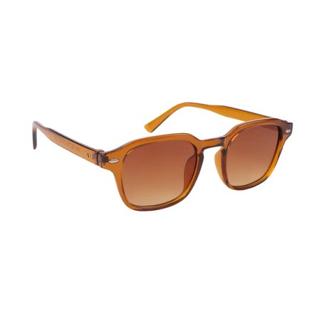 Carmelo Eyewear C02GE026 Kahverengi Erkek Güneş Gözlüğü