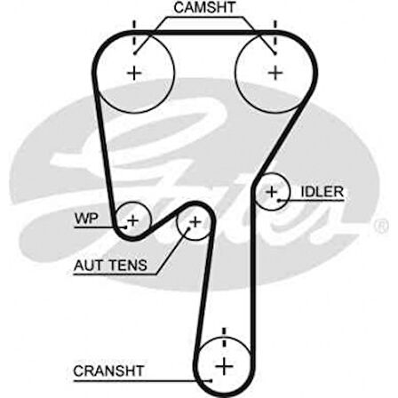 Renault Eksantrık Kayısı (142x230) Laguna Safran 2,0 16v (95 01) Volvo Mondeo S Max Focus 2,5 20v Ct979 - Gates 5509xs