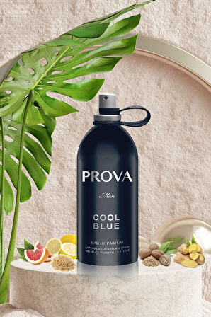 Prova Cool Blue EDP Çiçeksi Erkek Parfüm 120 ml  