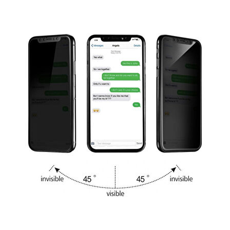 Apple iPhone X Tam Kaplayan 5D Hayalet Privacy Cam