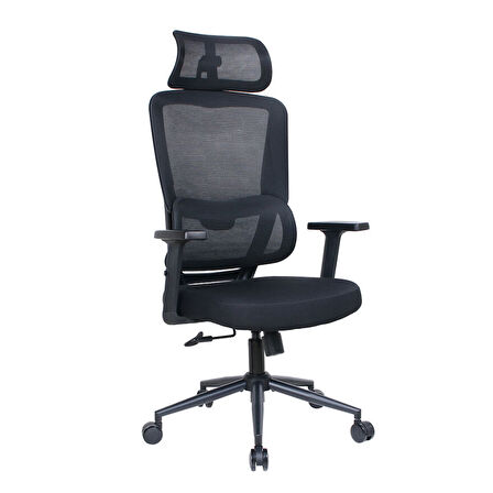 Reflex-S Full Ergonomic Yönetici ve Çalışma Koltuğu File Kumaş - Siyah 66 x 124-134 x -74 cm
