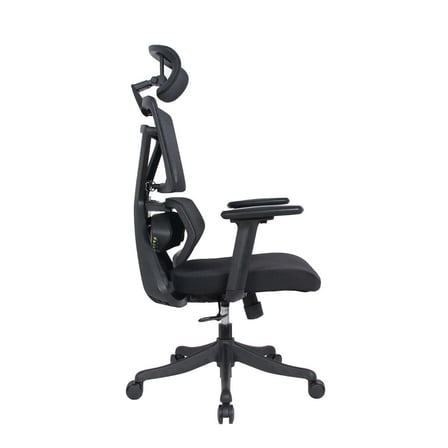 Pro-Tech Ultra Ergonomik Yönetici ve Çalışma Koltuğu - Siyah 70x113-124x69 cm