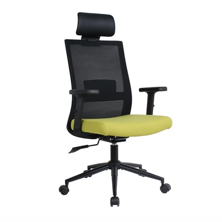 Vera Flex Multi Fonksiyon Çalışma Koltuğu - Siyah/Yeşil 63x117-127x67 cm