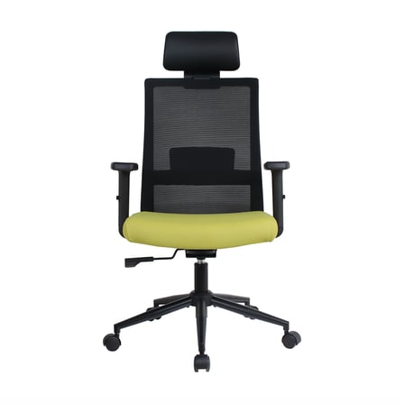 Vera Flex Multi Fonksiyon Çalışma Koltuğu - Siyah/Yeşil 63x117-127x67 cm