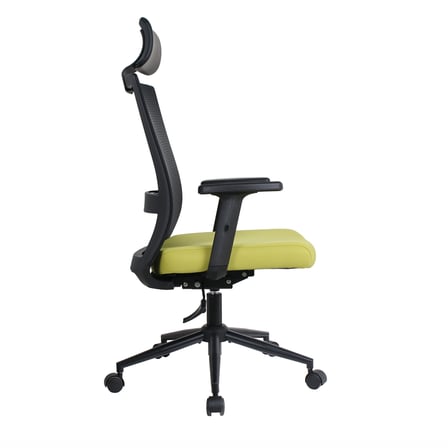 Vera Flex Multi Fonksiyon Çalışma Koltuğu - Siyah/Yeşil 63x117-127x67 cm