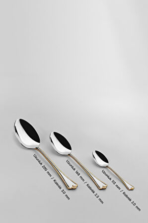 Nehir Fulya Altın Sade 12 Kişilik 60 Parça Çatal Kaşık Takımı 