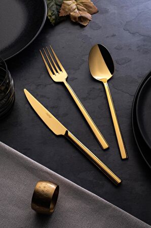 Nehir Dalyan Titianium Gold 89 Parça Deri Kutulu Çatal Kaşık Bıçak Takımı 