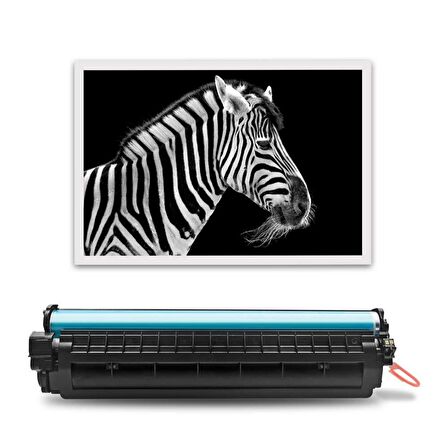 Baskistan Canon CRG-057H Siyah Muadil Toner