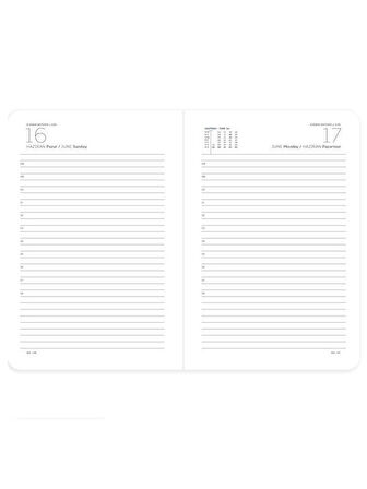 Gıpta 2026 Sert Kapak Günlük Ajanda 17X24 106-ECK Siyah