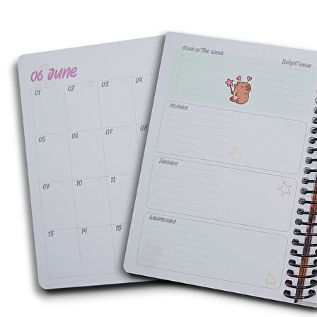 Gıpta Capybara A5 120 Yaprak Sert Kapak Spiralli Planner Defter (7826)