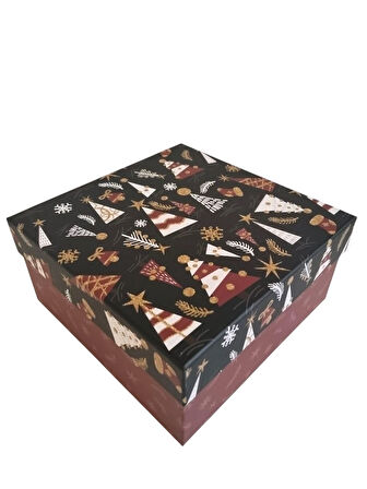 Hediyelık Yılbaşı Kare Kutu Fable 22X22cm  NO:5.5