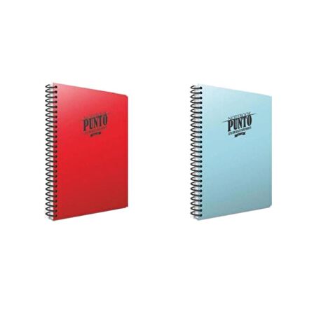 Gıpta Punto 160 Yp. A4 Spiralli Pp. Kapak Defter Seti Kareli 2'li
