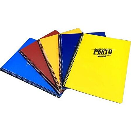 Gıpta Punto A4 80 Yaprak Kareli Plastik Kapak Spiralli Defter