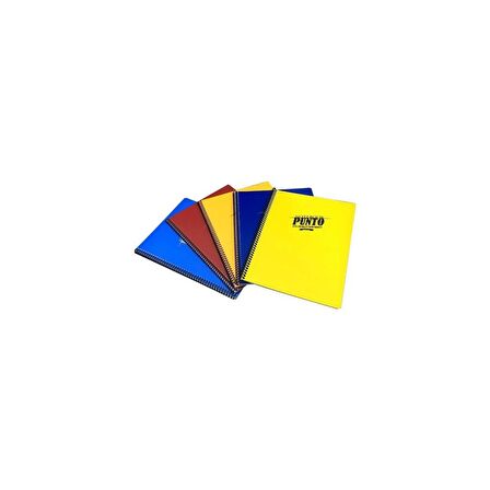 Gıpta Punto 160 Yp. A4 Spiralli Pp. Kapak Defter Kareli