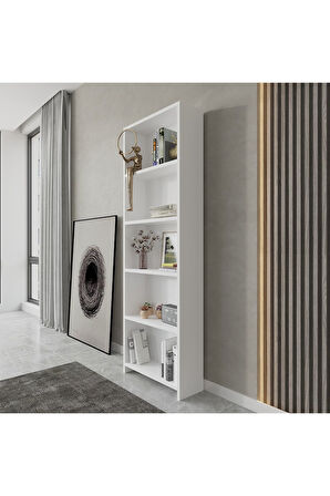 kitaplık / düzenleyici/