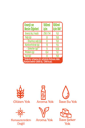 Organik %100 Smoothıe Turuncu 200 Ml