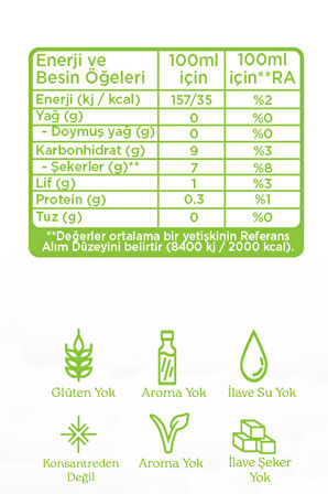 Organik Yeşil Smoothıe 946 Ml
