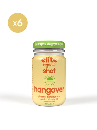 6'lı Hangover Shot 60 ml