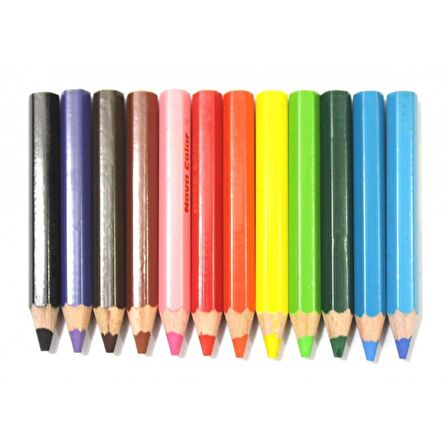 Nova Color Tombul Kuru Boya 12 B NC-405