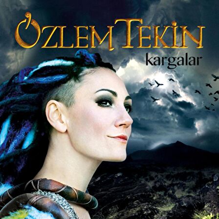 Özlem Tekin - Kargalar (Plak)  