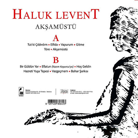 Haluk Levent Akşamüstü - Plak