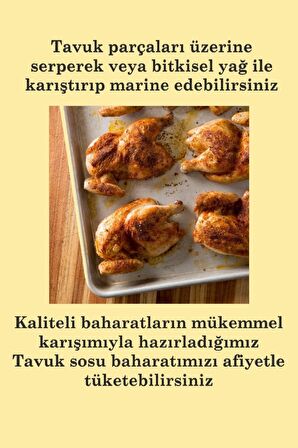 Tavuk Sosu Baharatı 500 gr 