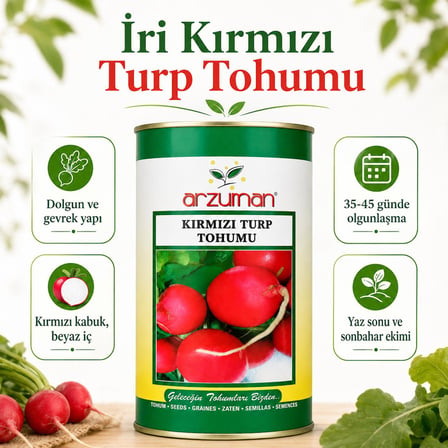 Arzuman İri Kırmızı Turp Tohumu 500 gr